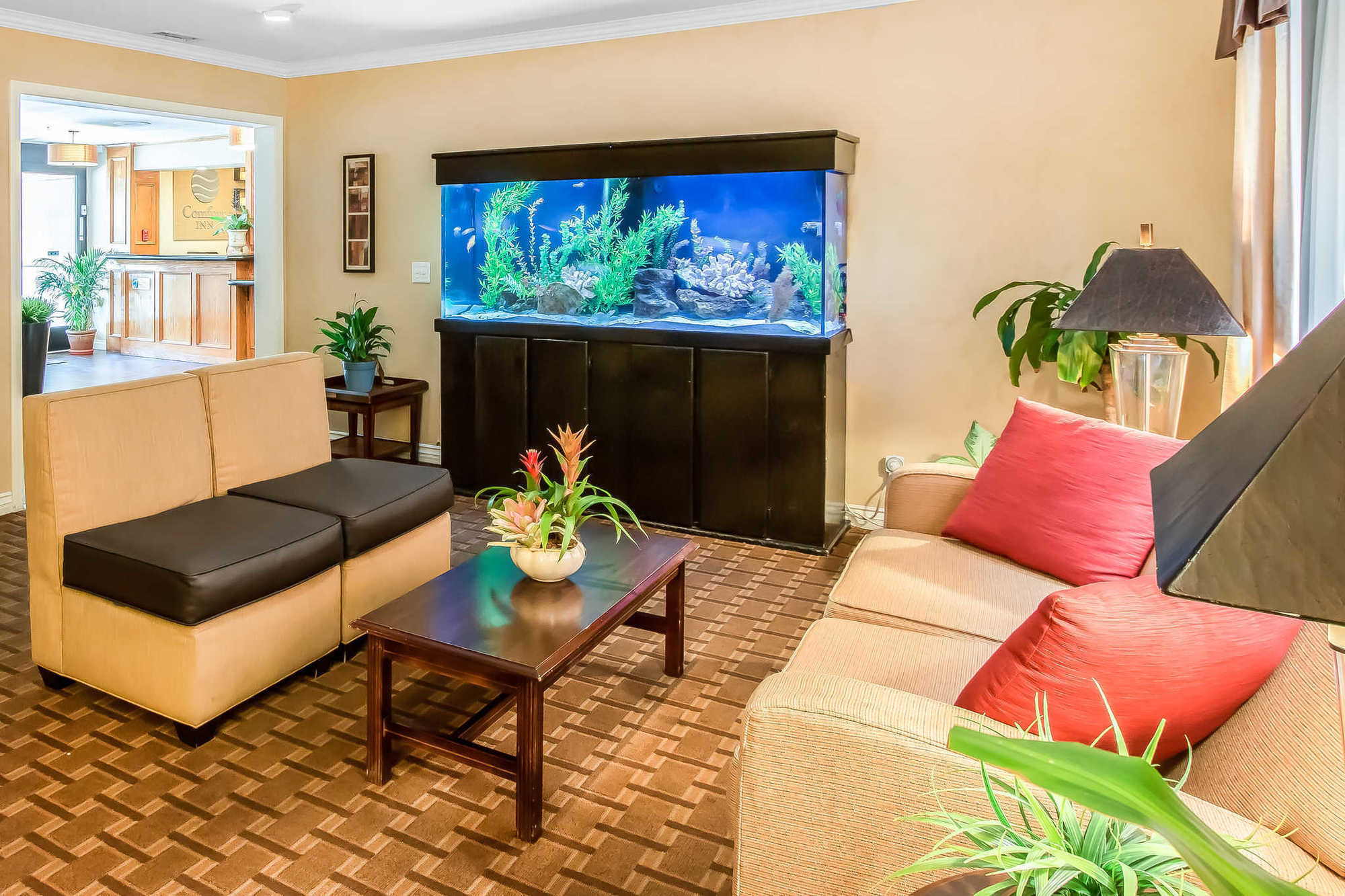 Comfort Inn Gaslamp Convention Center Сан-Диего Интерьер фото