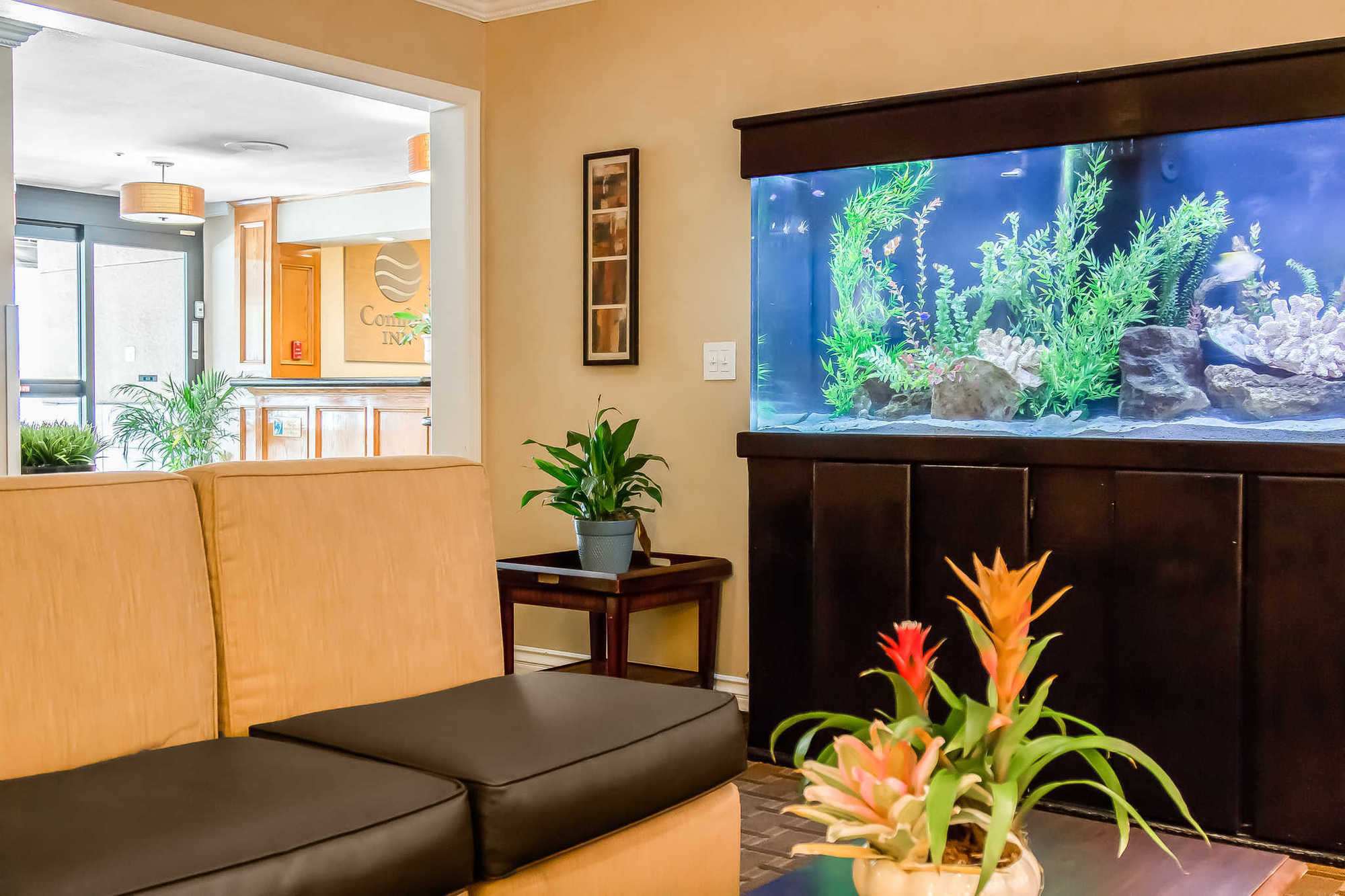 Comfort Inn Gaslamp Convention Center Сан-Диего Интерьер фото